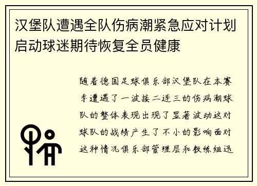 汉堡队遭遇全队伤病潮紧急应对计划启动球迷期待恢复全员健康