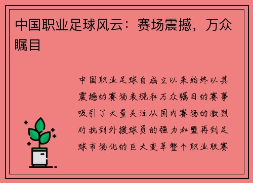 中国职业足球风云：赛场震撼，万众瞩目