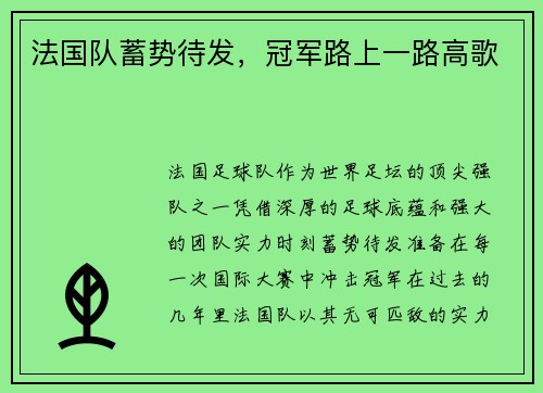法国队蓄势待发，冠军路上一路高歌